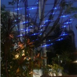 editors_URA's profile picture. 高井戸から愛を込めて