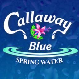 Naturally pure spring water. Buy Blue locally @ Publix, Piggly Wiggly, Marvins, Billy’s Cataula, many convenient stores! Visit us today: http://t.co/nhttxcTG