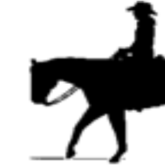 CAPHOSTEL's profile picture. Invierno Snow @ Cap Hostel (http://t.co/7jj0hQR8hW) 
Cabalgatas @ Feeling (http://t.co/N46gzUqH53)
Consultas: +54 (011) 5431 9019