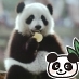 Graphic Designer＊PANDA LOVE!!  おもにTwはパンダまつりです♪