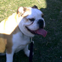 Damien Hebert - @Deeweezy1979 - Twitter