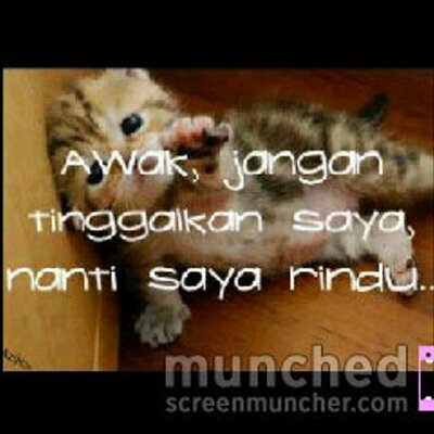 Ayat Sedih Amirhakim71 Twitter