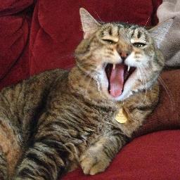 thelabarcas's profile picture. 