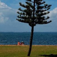 Moreton Bay QLD (@ourmoretonbay) 's Twitter Profile