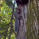 Shane McMullen - @smcmullen45 - Twitter