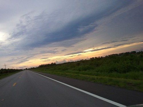 pollmears's profile picture. 