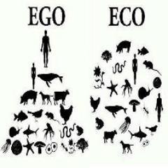 SignForAnimals's profile picture. 