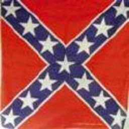 Counterjihad blogger.  Eastern Orthodox Christian.  Tea Party/Conservative.  States Rights.  Español.  Old movies and old television shows.