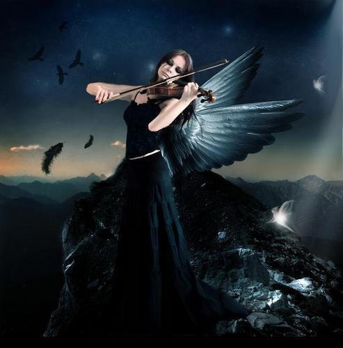 FFMetalMe's profile picture. 