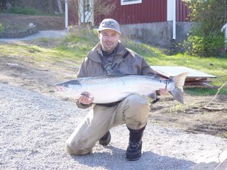 bobski_dk's profile picture. 