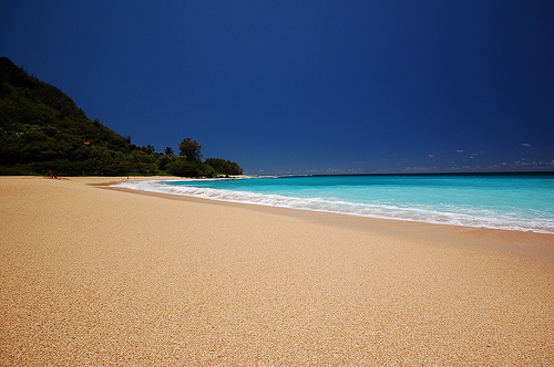 hawaiiisland's profile picture. 