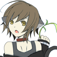 はつらぎさんのプロフィール画像