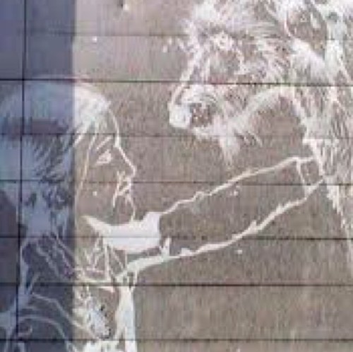 MaggieIsMagical's profile picture. I'm hoping to be adopted soon. The Carpenters are really, really kewl! Lately, strange things have been happening around me, and I'm scared.