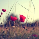 ashley huff - @ashley_stars22 - Twitter