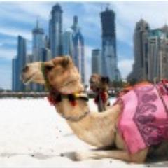 LagunaTurs's profile picture. Лента горящих туров.

http://t.co/AtcJtdKO

(8 499) 193-61-33