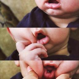 Domenico, is my life!:3