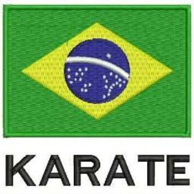 Resultado de imagem para karate brasil