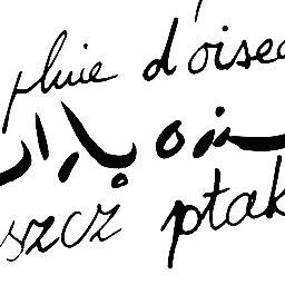 PluieOiseaux's profile picture. La rencontre entre les artistes, la rencontre entre les disciplines artistiques, des créations associant le public