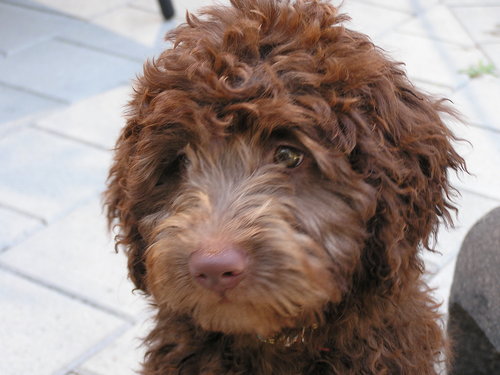 atilyard's profile picture. 