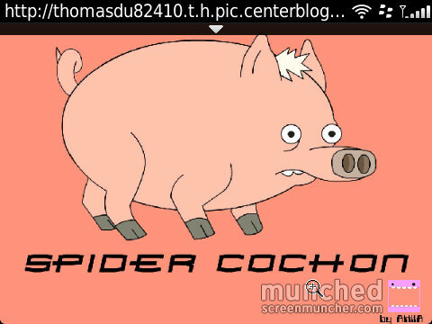Bonjour je suis le cochon de @loadedrichard