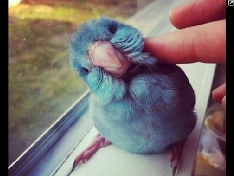 Lulunajd's profile picture. 