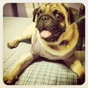 mae ryan - @lyzzabelle - Twitter