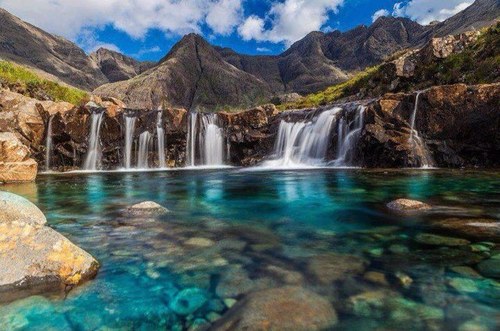 cheesy41's profile picture. 