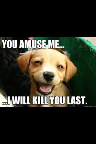 MattPedler's profile picture. 