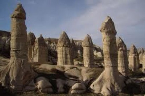 teixidoret's profile picture. 