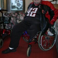 david kelly (@babylonzoo) 's Twitter Profile