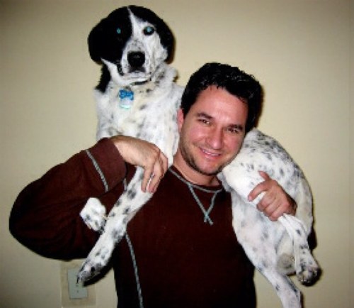 thedogcounselor's profile picture. A Revolution in Dog Training - 
New Book - A Dog's Way