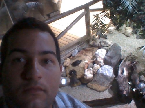 EduAragoneses's profile picture. tornero,agricultor urbano,Gasteiztarra y alavesista.