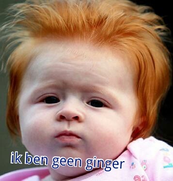 Ik haat gingers. mooie bio toch?