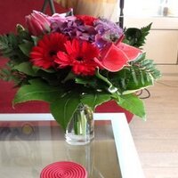 Sjoerdje Engstrom (@europaplein) 's Twitter Profile