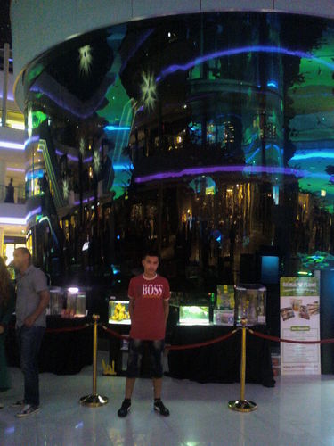 FaroukFutur's profile picture. 