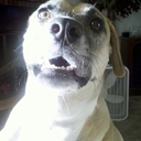 Gloria Elmore - @PearlIceMoon - Twitter