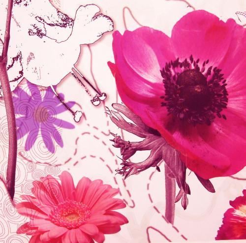 nightingalemh's profile picture. Nice rooms in the center, helpful staff, good prices.