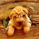 Conor Harvey - @Harvey_Conor - Twitter