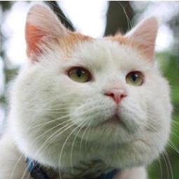 Lee_Chen_WX's profile picture. 