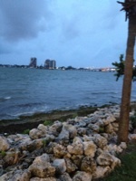 thegurusays_'s profile picture. The truth in a house full of lies.  #teamfollowback