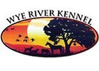 wye river kennel