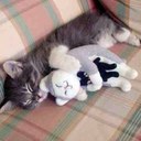 Freddy Hall - @FredHallYeah - Twitter