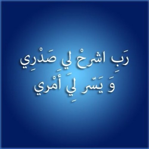 safiabouja's profile picture. 