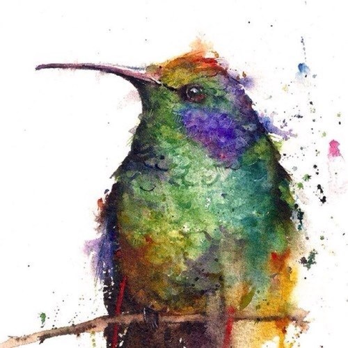 ciro_pineda's profile picture. 