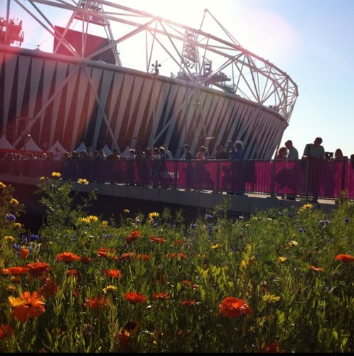 Lover of London life - inspired by 2012 - sunsets - nature - Amateur Photography