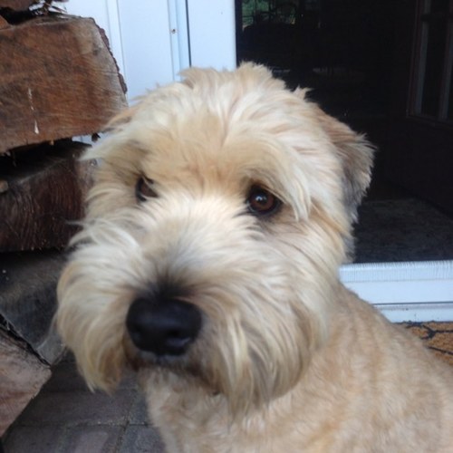 ssbn631's profile picture. 