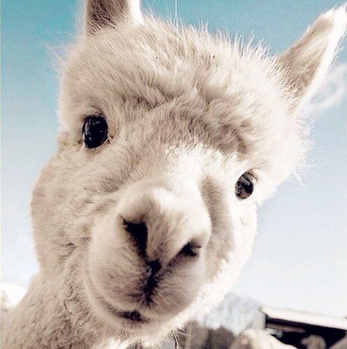 76004514's profile picture. 