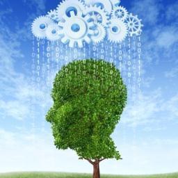 The Digital Brainery is a blog on digital marketing technology. Focused on digital CRM, identity management, Big Data.