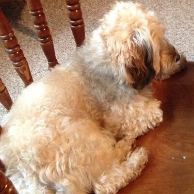 kgeiger01's profile image
