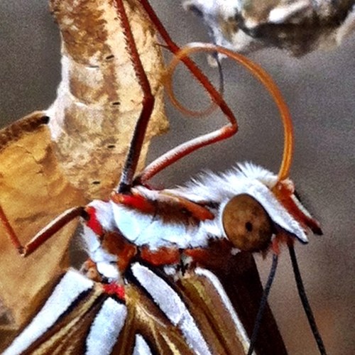 TaraHarms's profile picture. teacher, gardener, naturalist